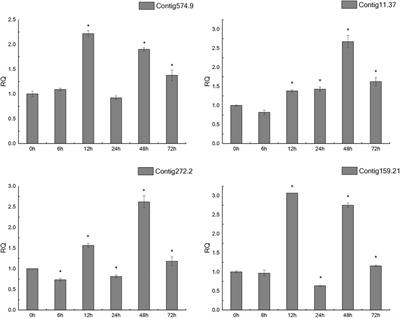 Screening and Verification of Molecular Markers and Genes Related to Salt-Alkali Tolerance in Portunus trituberculatus